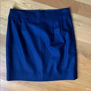 Navy Pencil Skirt (JCREW)